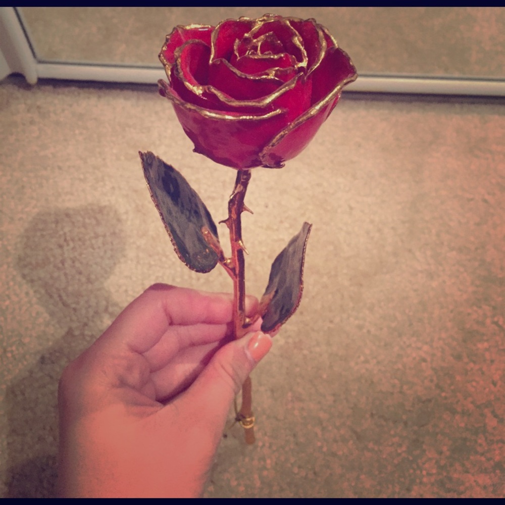 Rose dipped in Gold