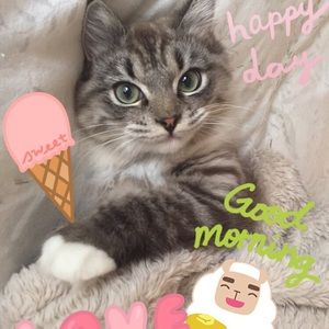 Meet your Posher, Katelyn