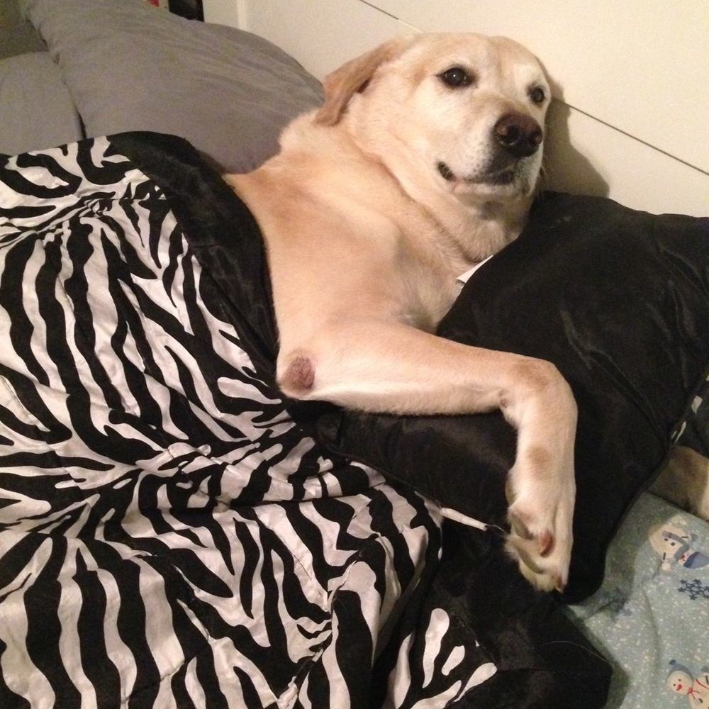 🎉🎉Sale🎉🎉Prices Being Dropped ALL Day! - Picture 4 of 8