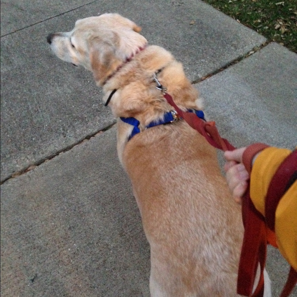 🎉🎉Sale🎉🎉Prices Being Dropped ALL Day! - Picture 3 of 8