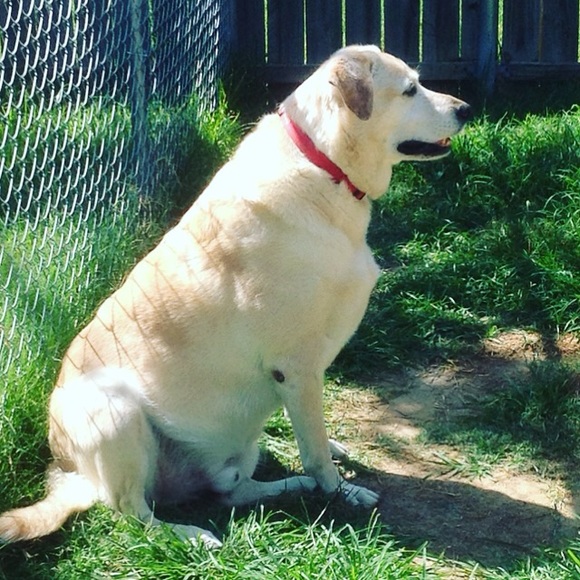 🎉🎉Sale🎉🎉Prices Being Dropped ALL Day! - Picture 8 of 8