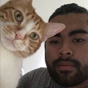 Meet your Posher, Robin