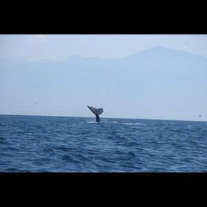 Meet your Posher, Robyn