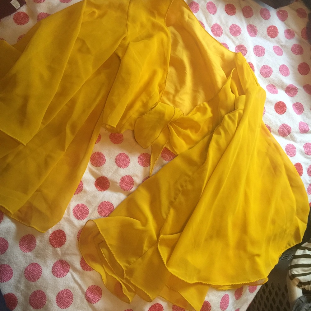 Costume / dance top