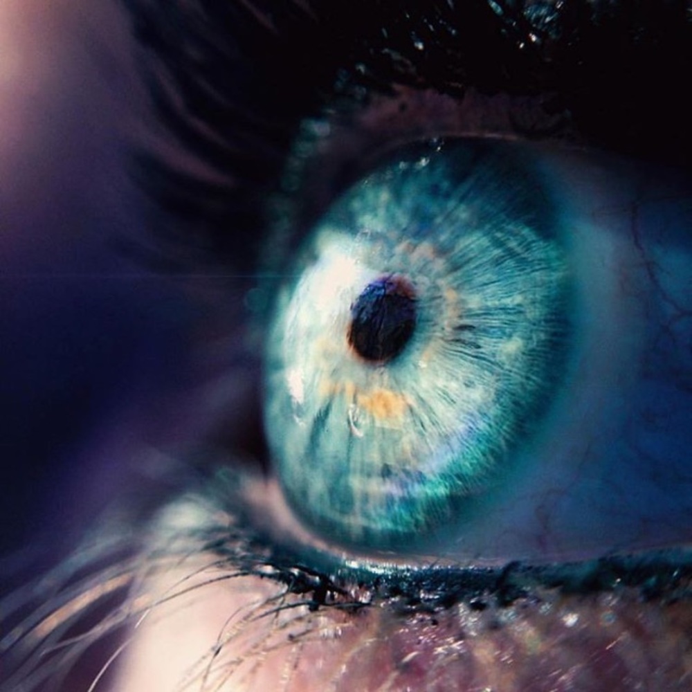 Meet your Posher, Paige