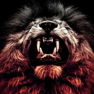 Meet your Posher, Yvette