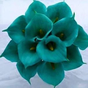 Meet your Posher, Lawanda