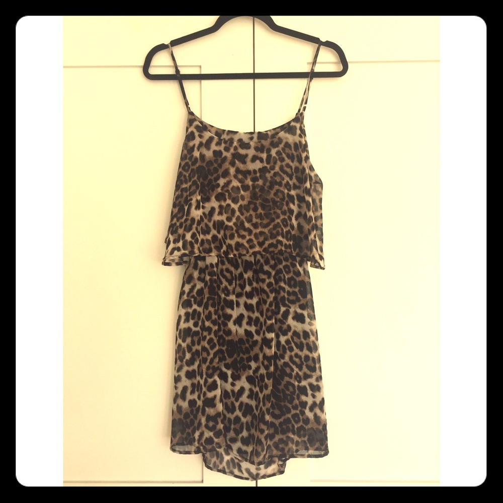 Cheetah Cutout!
