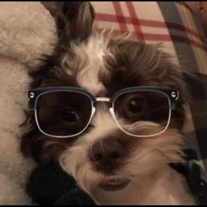 Meet your Posher, Blake