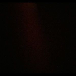 Meet your Posher, Allie