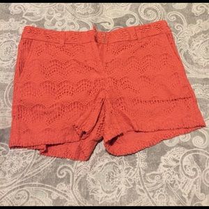 NWT Loft shorts