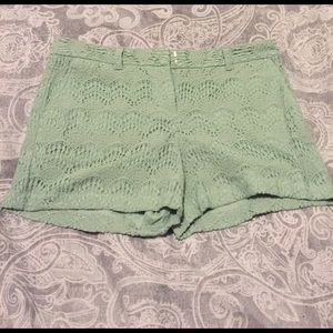 NWT Loft shorts