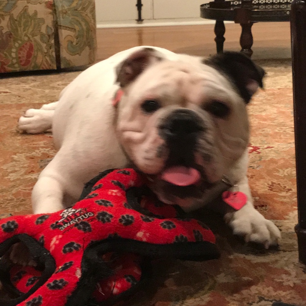 Meet your Posher, Amanda