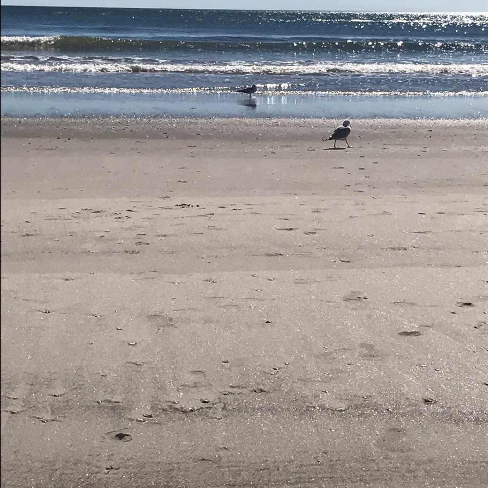 Meet your Posher, Veronica