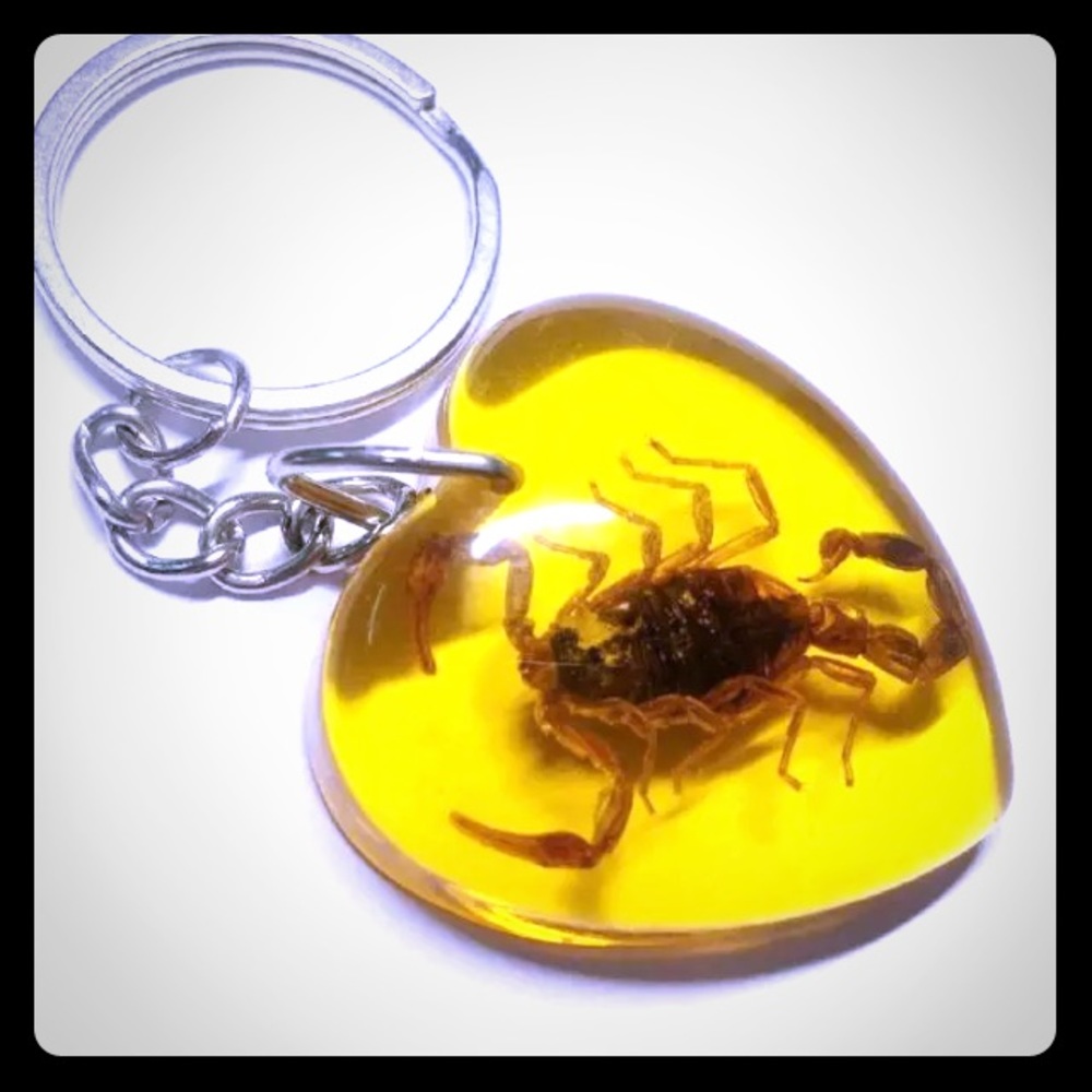 Authentic GOLD SCORPION Key Chain!