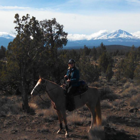 Meet your Posher, Lee - Picture 1 of 1