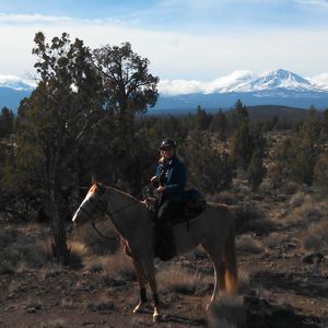 Meet your Posher, Lee