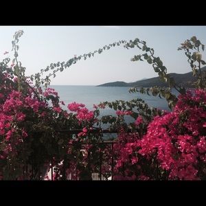 Meet your Posher, Joy