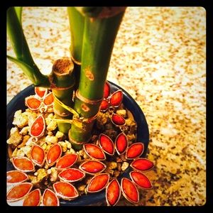 Quarrel color dangly earring