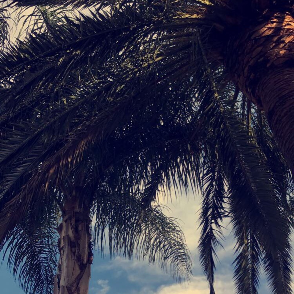 Meet your Posher, Jaleen