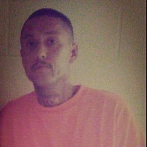 Meet your Posher, Rocky