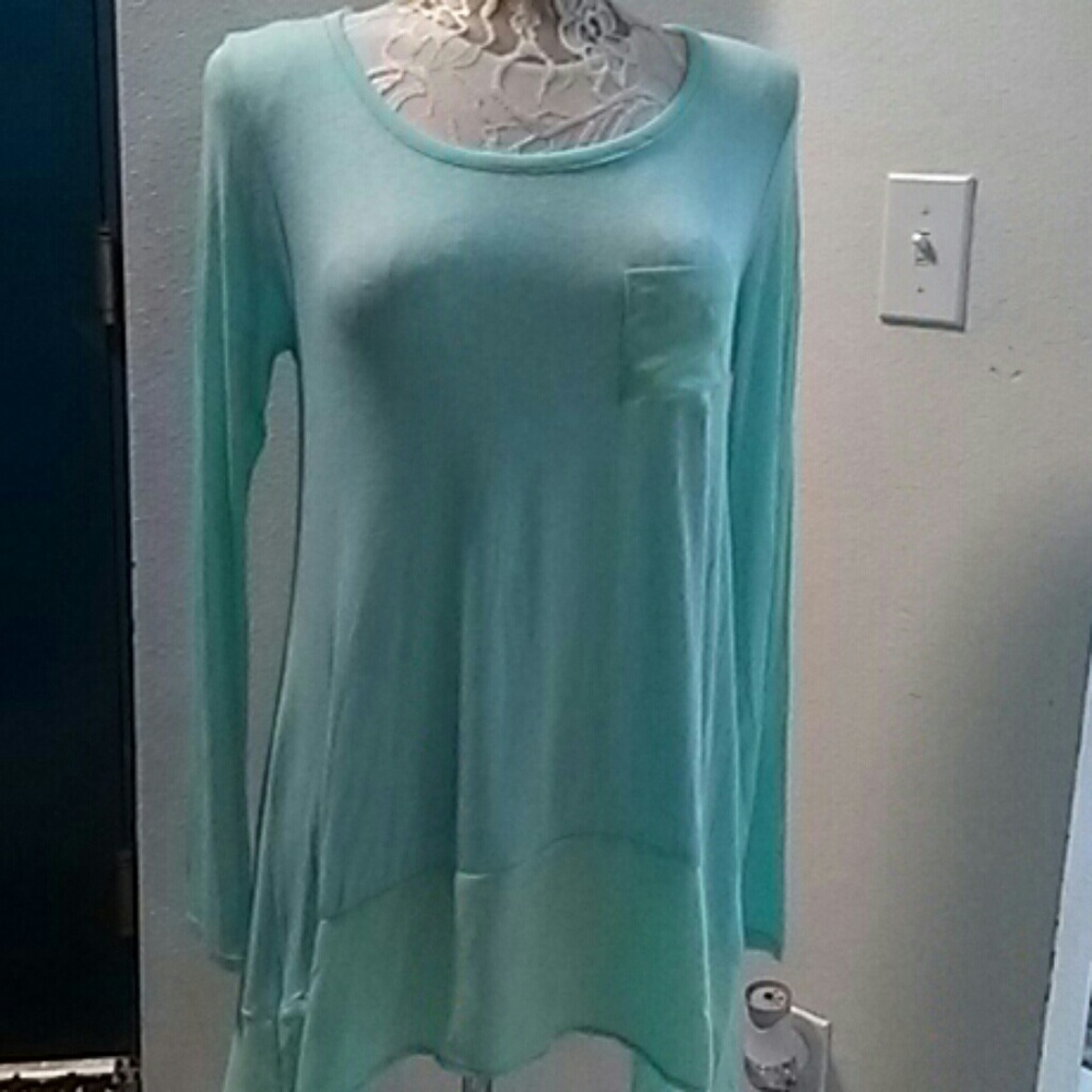 Long sleeve mintgreen Tea n Rose top