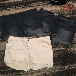 Lot of 3 Torrid Denim Shorts