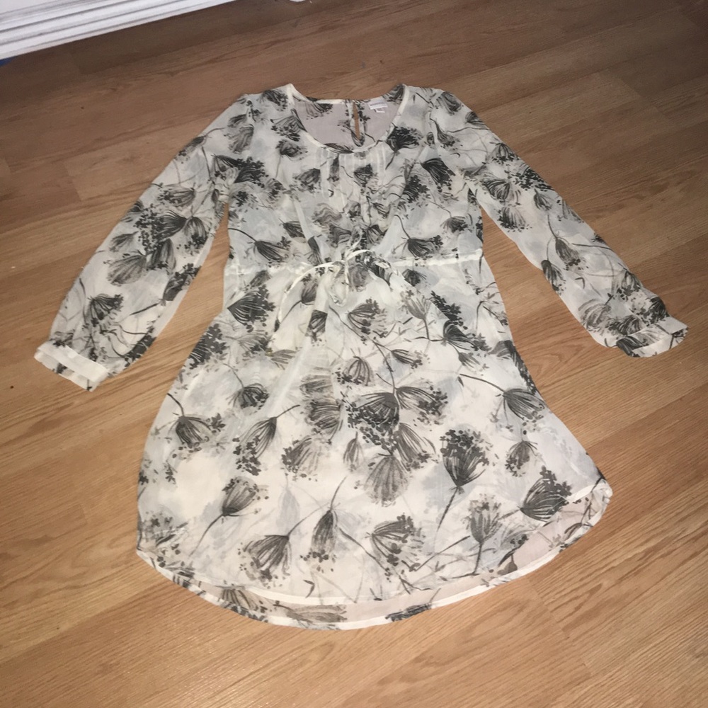 Sheer long Sleeve dress