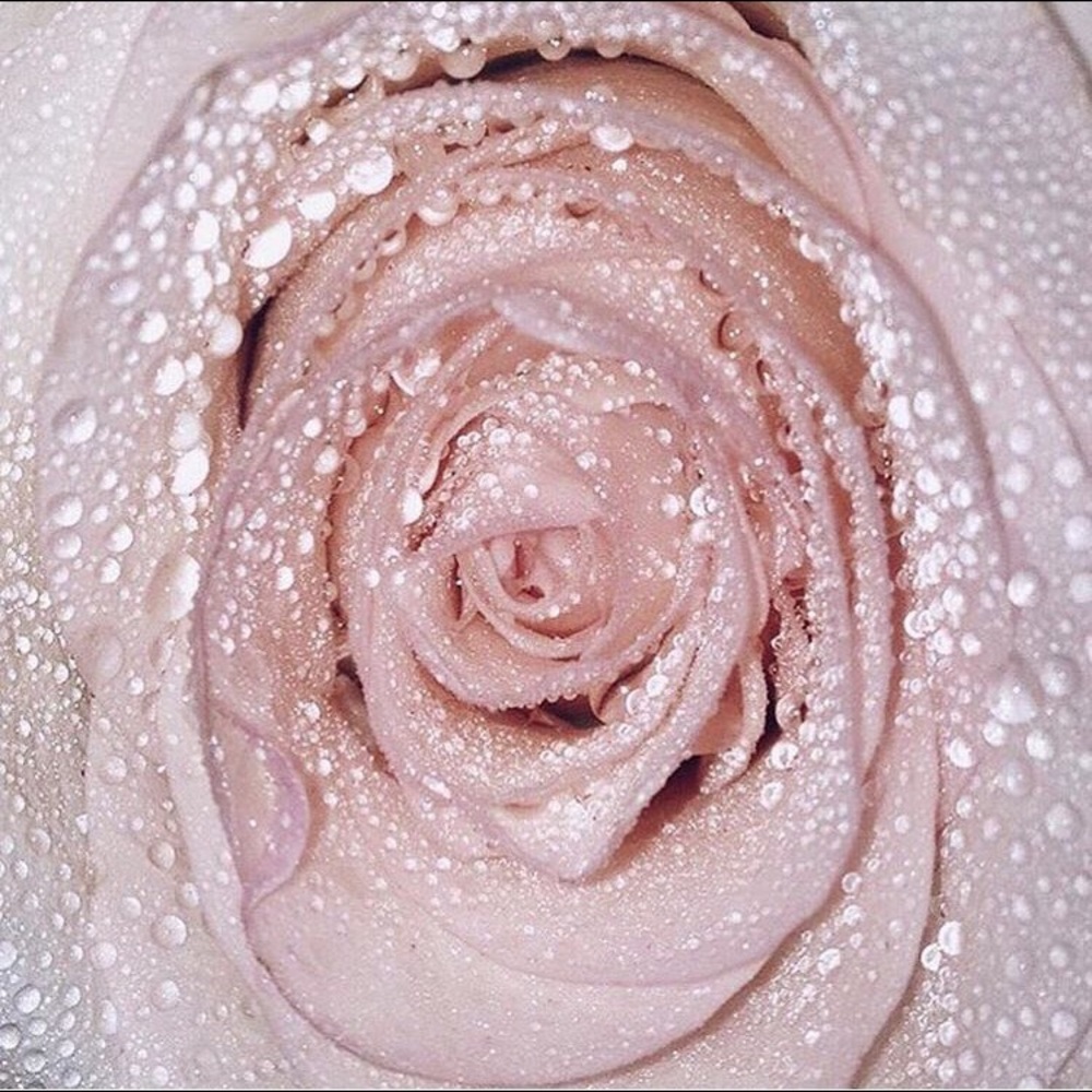 Meet your Posher, Candice