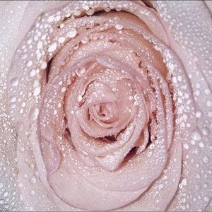 Meet your Posher, Candice