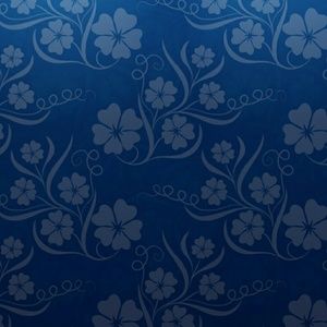 Meet your Posher, Lanai