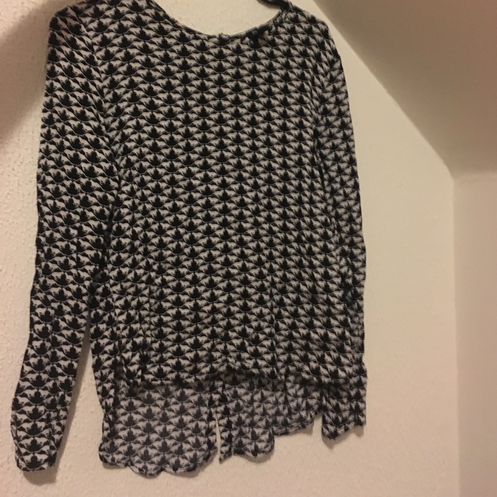 Long sleeved sheer blouse