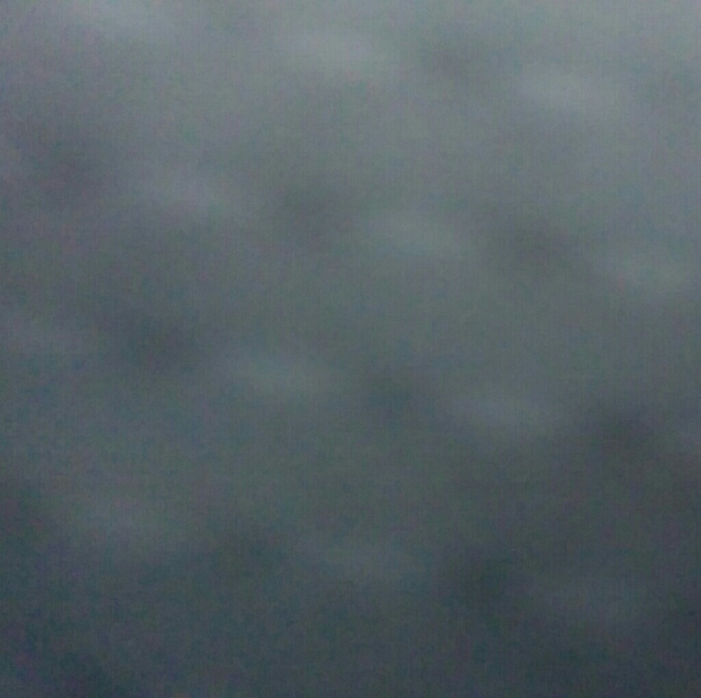 Meet your Posher, Dani