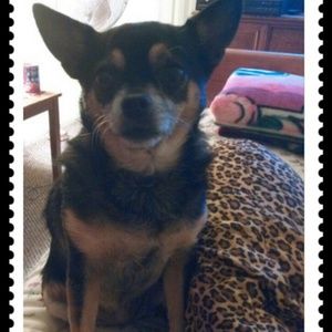 Meet your Posher, Cyndi