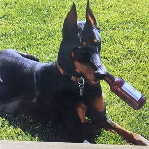 Meet your Posher, Luke