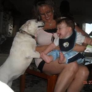 Meet your Posher, Dawn