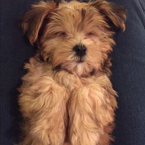 Meet your Posher, Macey