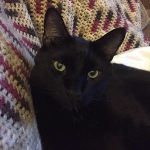 Meet your Posher, Barbara