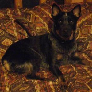 Meet your Posher, Gale