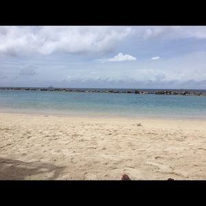 Meet your Posher, Ann