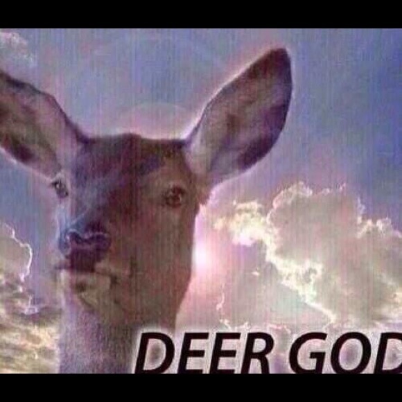 Meet your Posher, Kenzie - Picture 1 of 1