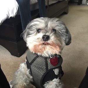 Meet your Posher, Kim