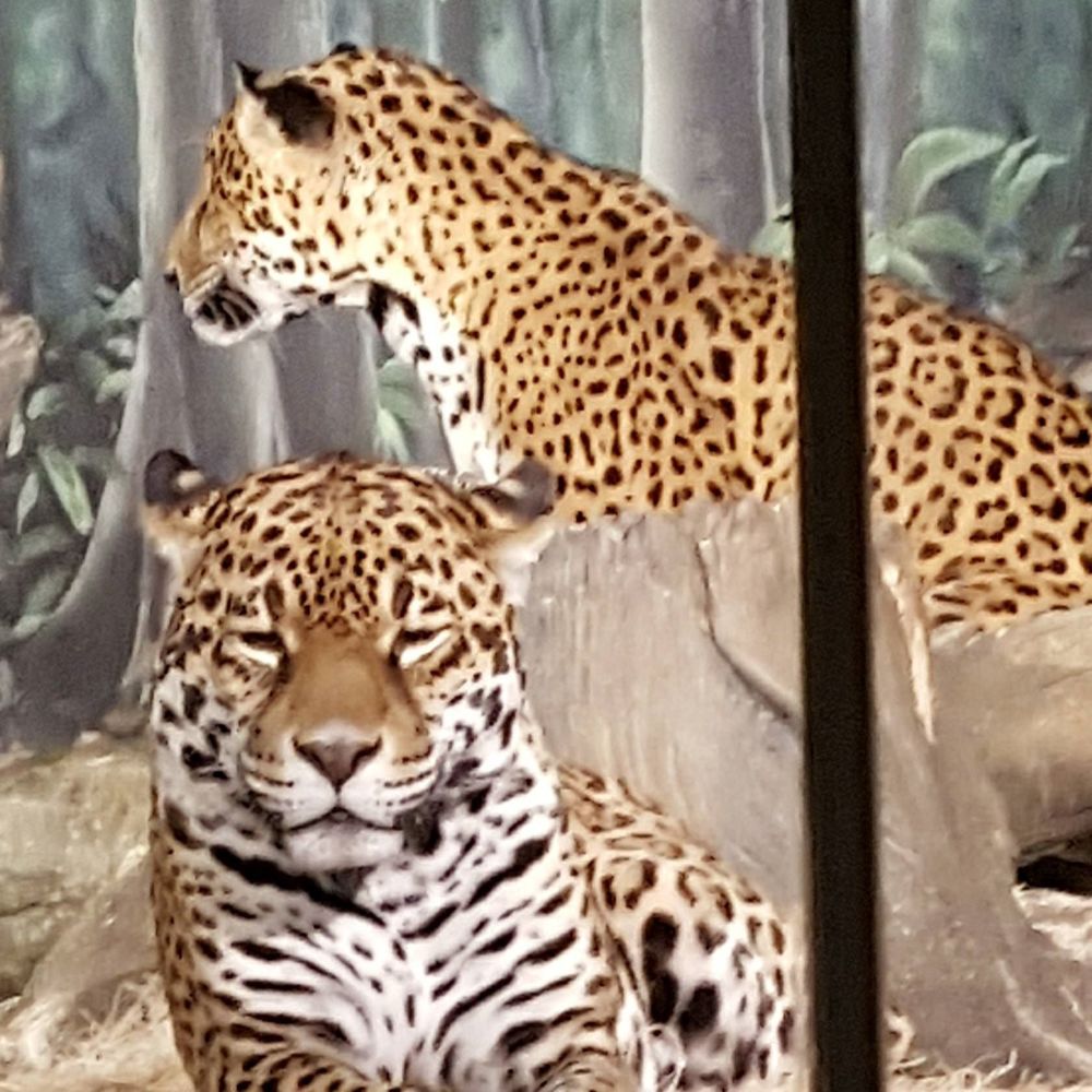 Meet your Posher, Renae