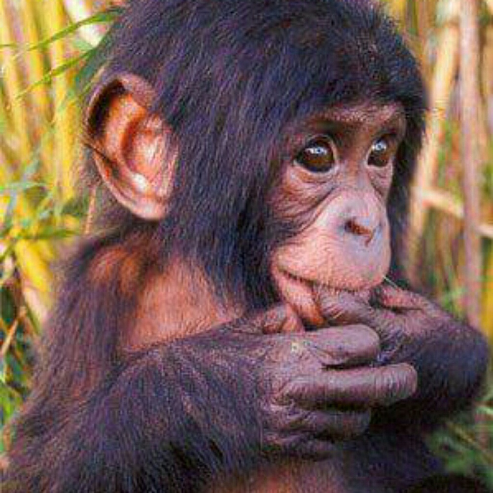 Meet your Posher, Jamie