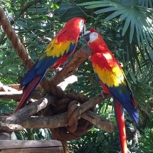 Meet your Posher, Kseniya