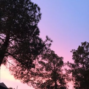 Meet your Posher, Ivy