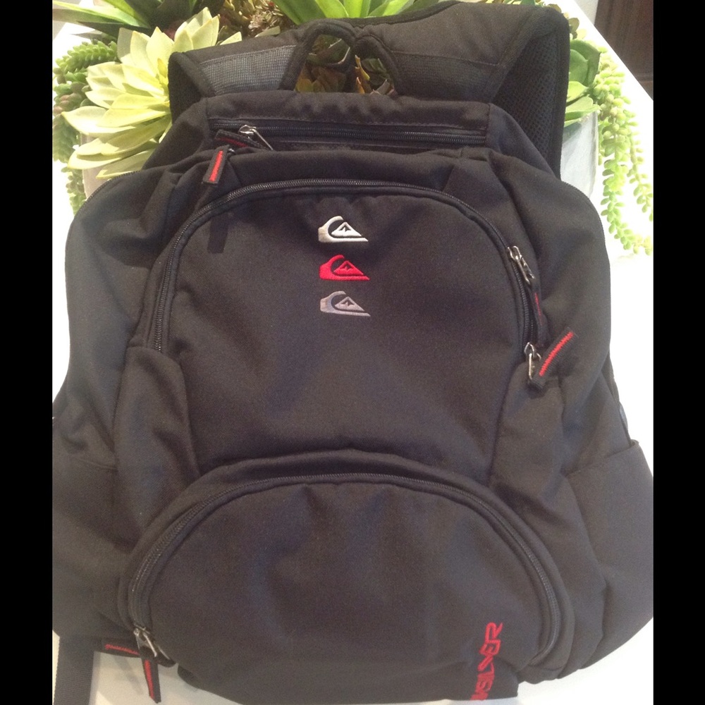 Men's Quicksilver everyday backpack