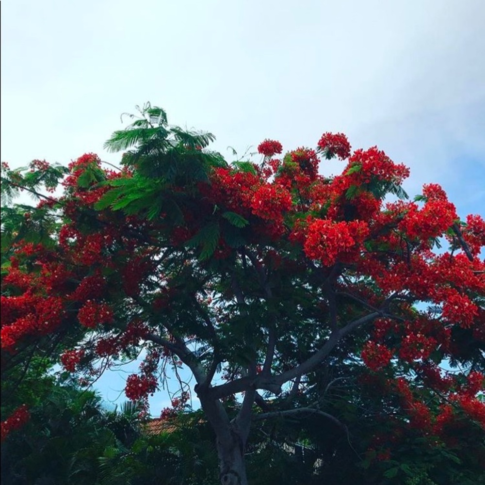 Meet your Posher, Brielle