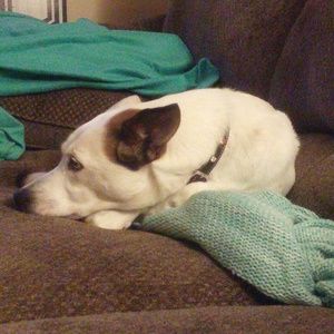 Meet your Posher, Tamara