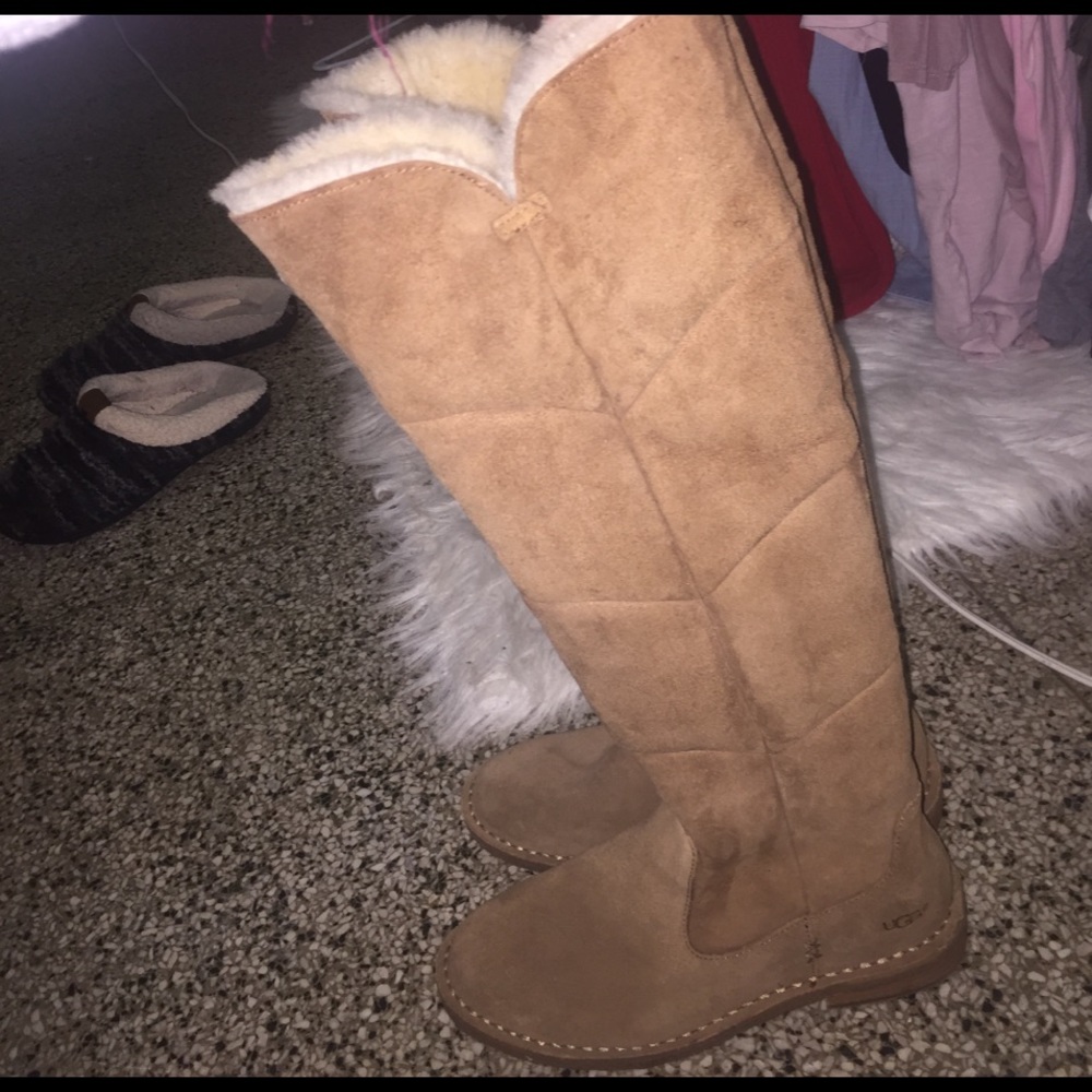 Chestnut Sibley Uggs- Authentic